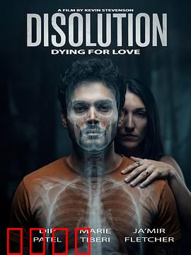 溶解：透明危机