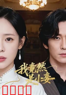 我竟然是小妾：逆袭成主母