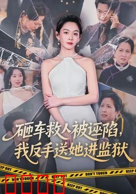 砸车救人被诬陷，我反手送她进监狱：正义绝不会缺席