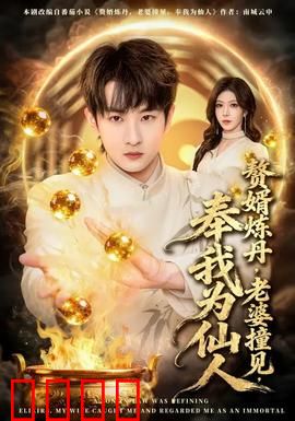 赘婿炼丹，老婆撞见，奉我为仙人：逆袭传奇