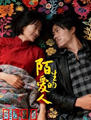 陌生的爱人：失忆后的再相遇