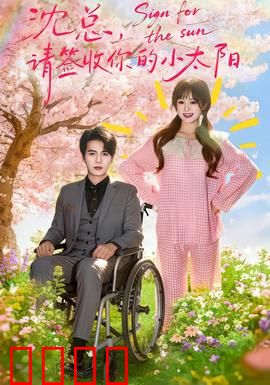 沈总，请签收你的小太阳：暖男追妻记