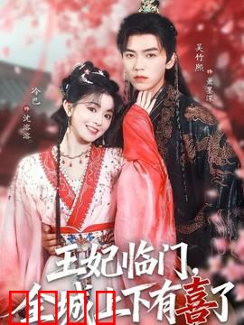 王妃临门全城上下有喜了：甜宠来袭