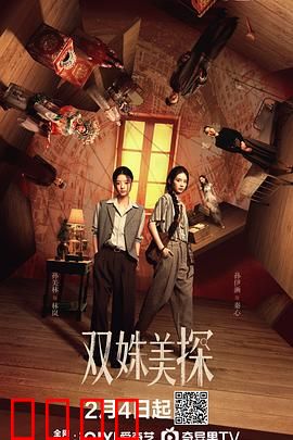 双姝美探：智斗连环杀手