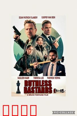 无情混蛋：猎杀纳粹纪实