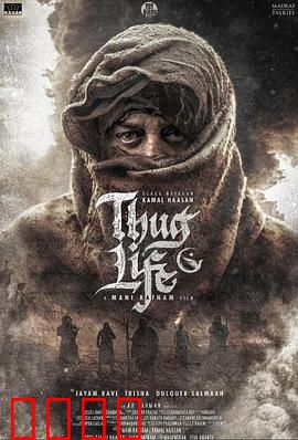 镇上的新暴徒：孤胆复仇