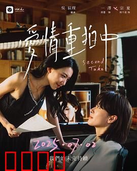 爱情重拍中：戏中戏外