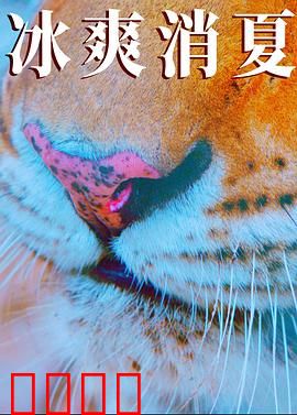 寒冰白血：冰原求生