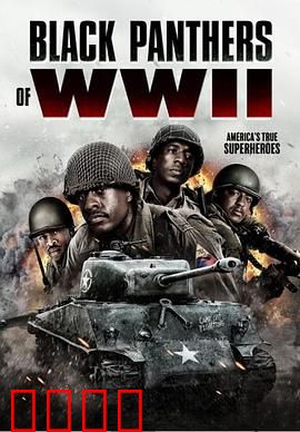 二战黑豹：钢铁猛兽的崛起