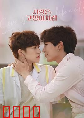 爱情像猫一样：猫与爱的治愈之旅