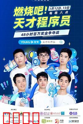 燃烧吧！天才程序员：创业征途