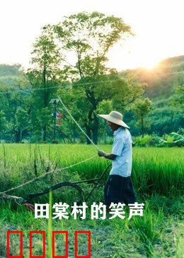 田棠村的笑声：乡村喜剧