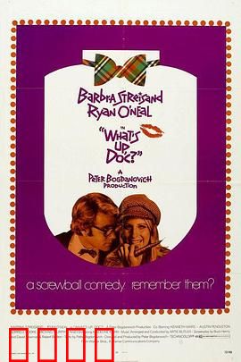 爱的大追踪：浪漫冒险经典