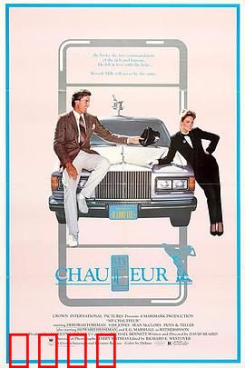 我的司机：暗夜守护者