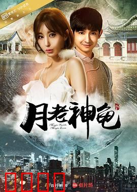 月老神龟：跨越千年的姻缘