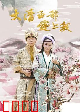 大清王爷爱上我：王爷追妻记