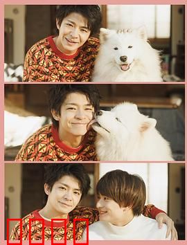 爱你汪汪：狗狗牵线奇缘