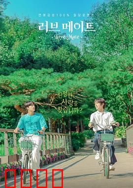 爱情伴侣：追爱指南