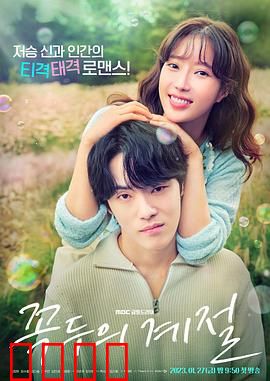 顶斗的季节：爱的代价