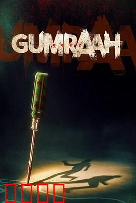 双面线索：镜像迷局