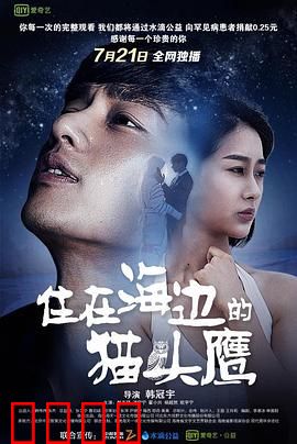 住在海边的猫头鹰：孤独守望者的救赎