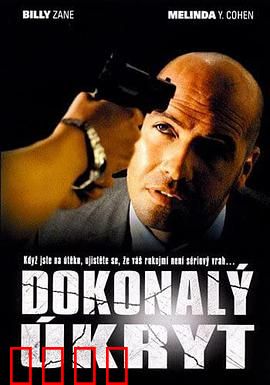 完美隐藏：天才骗子的终极诡计